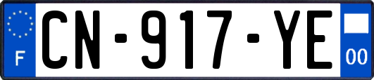 CN-917-YE