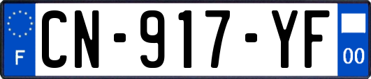 CN-917-YF