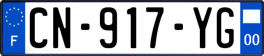 CN-917-YG