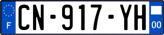 CN-917-YH