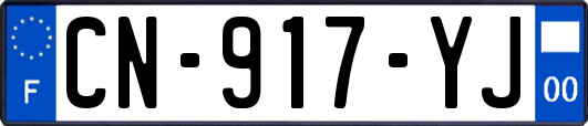 CN-917-YJ