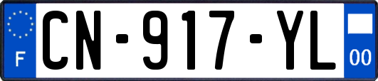 CN-917-YL