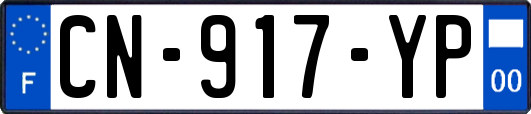 CN-917-YP