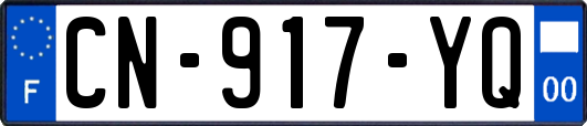 CN-917-YQ