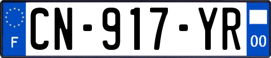 CN-917-YR