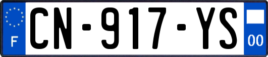 CN-917-YS