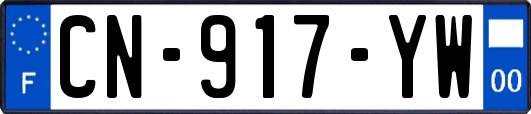 CN-917-YW