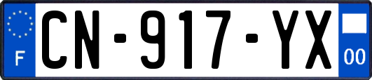 CN-917-YX