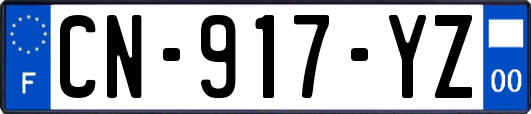CN-917-YZ
