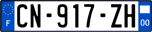 CN-917-ZH