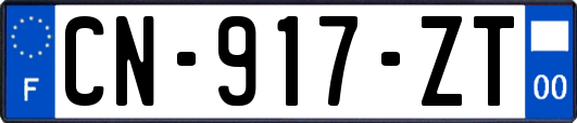 CN-917-ZT