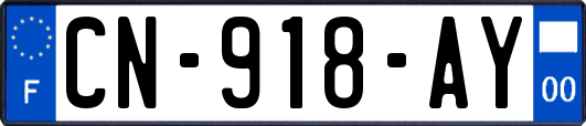 CN-918-AY