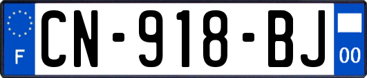 CN-918-BJ