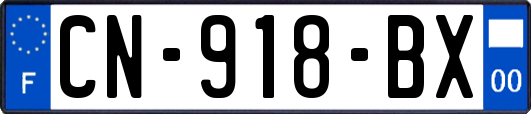 CN-918-BX