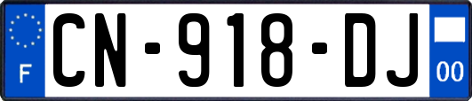 CN-918-DJ