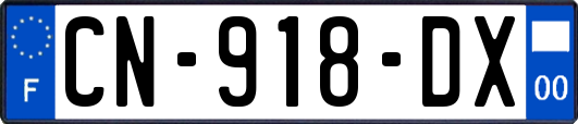 CN-918-DX