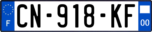 CN-918-KF