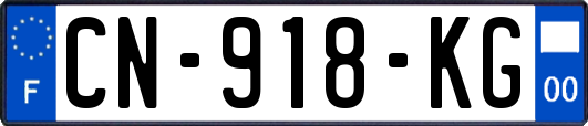 CN-918-KG