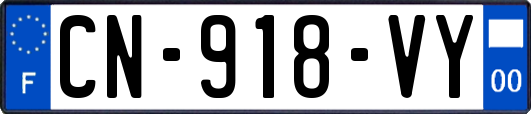 CN-918-VY