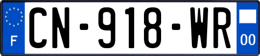 CN-918-WR