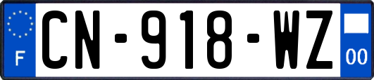 CN-918-WZ