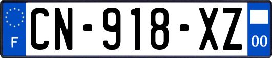 CN-918-XZ