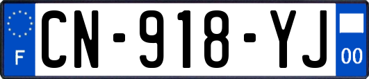 CN-918-YJ