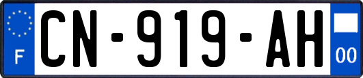 CN-919-AH