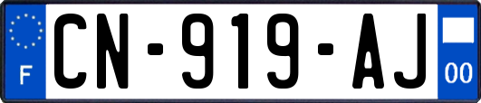 CN-919-AJ