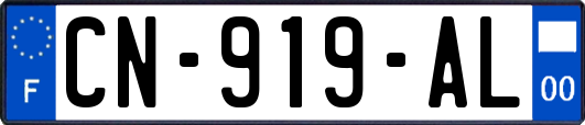 CN-919-AL