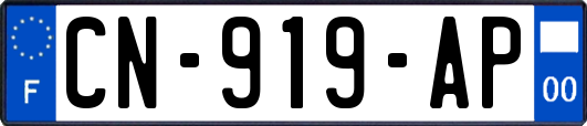 CN-919-AP