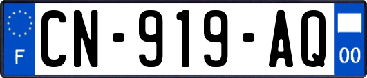 CN-919-AQ