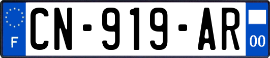 CN-919-AR