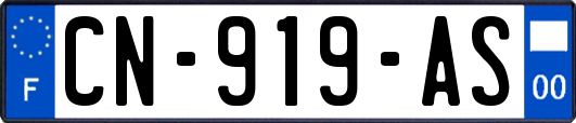 CN-919-AS