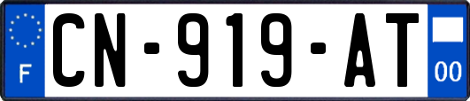 CN-919-AT