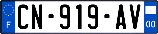 CN-919-AV