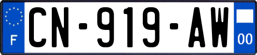 CN-919-AW