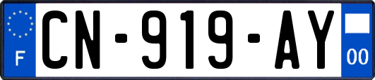 CN-919-AY