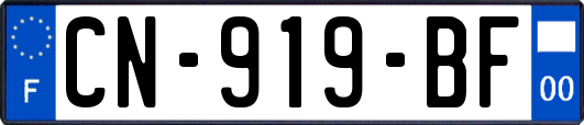 CN-919-BF