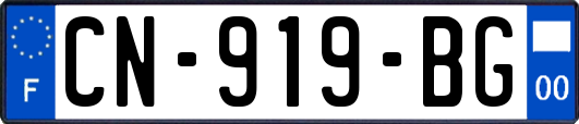 CN-919-BG