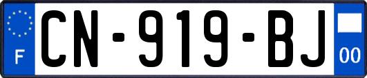 CN-919-BJ