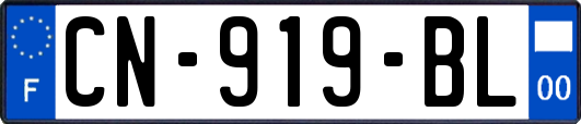 CN-919-BL