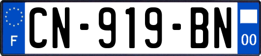 CN-919-BN