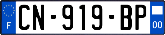 CN-919-BP