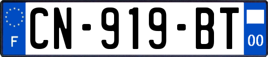 CN-919-BT