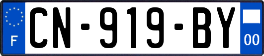 CN-919-BY