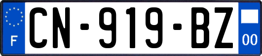 CN-919-BZ