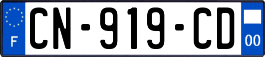 CN-919-CD