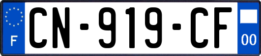 CN-919-CF