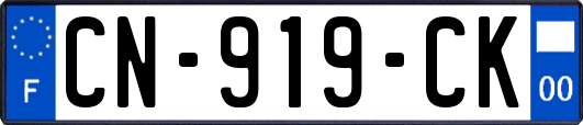 CN-919-CK